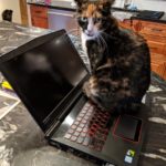 Mayzie - Butt typing