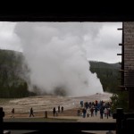 Thar she blows!