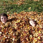Fall obligatory roll in the leaves